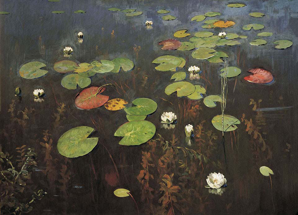 Water lilies